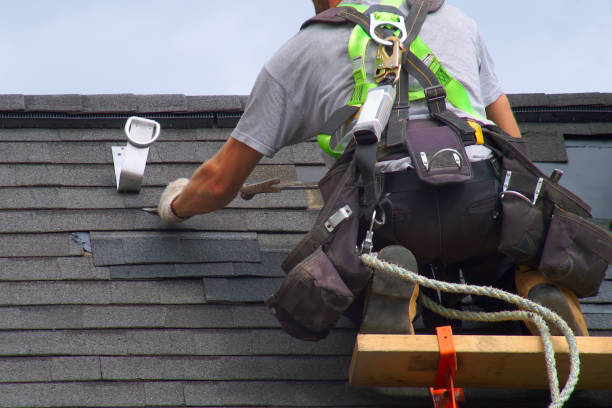 Best Local Roofing Companies  in Ferrysburg, MI
