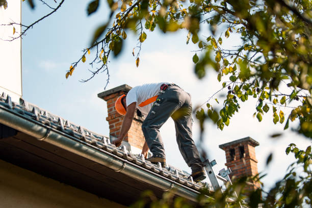 Quick and Trustworthy Emergency Roof Repair Services in Ferrysburg, MI