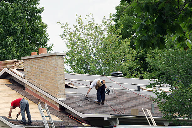 Best Metal Roofing Contractor  in Ferrysburg, MI