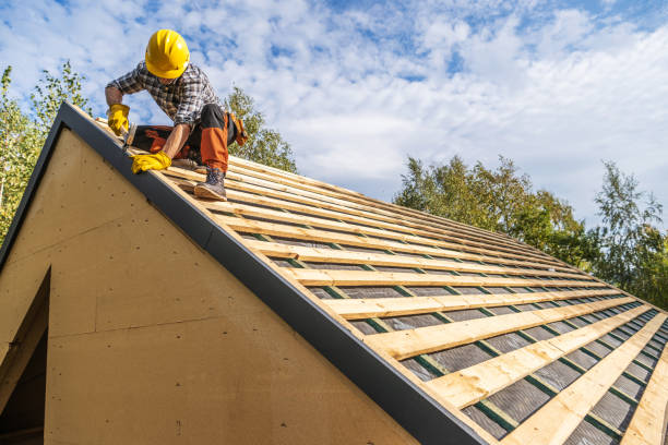 Best Storm Damage Roof Repair  in Ferrysburg, MI