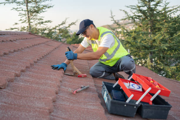 Professional Roofing Contractor in Ferrysburg, MI