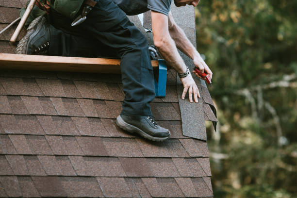 Best Roof Waterproofing Services  in Ferrysburg, MI